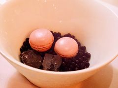 -蝶舍·MAISON PAPILLON