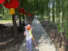 -同銮特种养殖场·龙虾垂钓