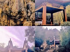 -竹子庵公园