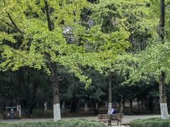 -灵谷景区