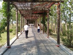 -处女泉风景名胜区