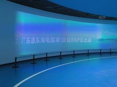 -广东惠东海龟国家级自然保护区