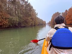 -上海海湾国家森林公园