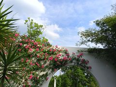 -白鹭湾湿地公园