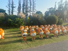 -上海长兴岛郊野公园