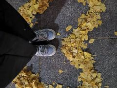 -百林公园-两江幸福广场