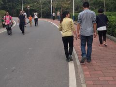 -火炉山森林公园