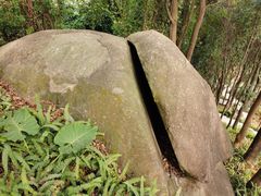 -火炉山森林公园