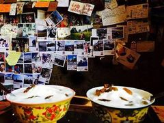 -古树酸奶(八廓南街店)