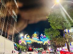 -新加坡富丽华河畔大酒店(SG Clean)
