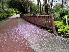 -狐尾山公园