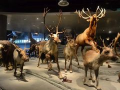 -国家自然博物馆