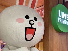 -line friends(明洞旗舰店)