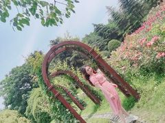 -上海滨江森林公园