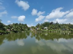 -沙美村