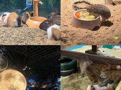 -顺德南宏海立方海洋公园