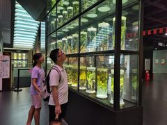 -广东中医药博物馆