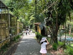 -吉隆坡雀鸟公园