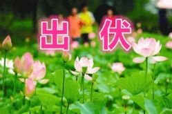 -雅曼妮spa美容养生