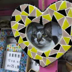 -瓦匠工社·马赛克·积木拼图·亲子手工DIY