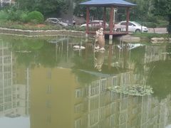 巨无霸-麦当劳(郑州东高铁站店)