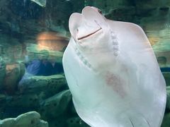 -珠海长隆海洋王国