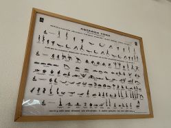 -FineYoga梵音瑜伽·普拉提