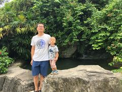 -金鸡山公园
