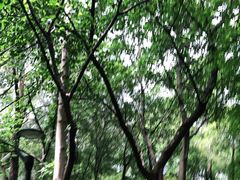 -广州雕塑公园
