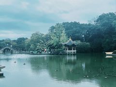 -江心屿景区