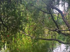 -人民公园(罗湖区)