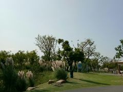 -上海长兴岛郊野公园