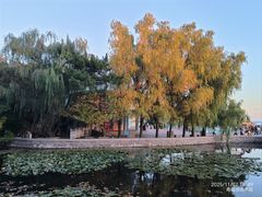 -青岛第二海水浴场