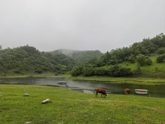 -关山草原