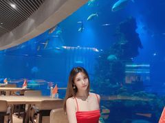 -涛·海底餐厅·美人鱼·自助餐·海底隧道(三亚海棠湾洲际度假酒店)