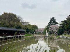 -堤角公园