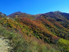 -北京灵山风景区