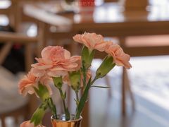 -WOKKA by艮上(中海环宇荟店)