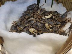 -川骄海鲜自助(亚运村店)