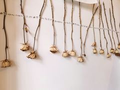 -小晴天咖啡馆