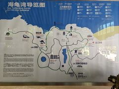 -广东惠东海龟国家级自然保护区
