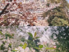 -成都蒲江花样年福朋喜来登度假酒店·宜客乐西餐厅