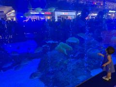 -成都浩海立方海洋公园