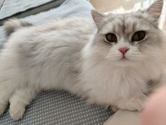 -王允海动物医院(中央大街店)