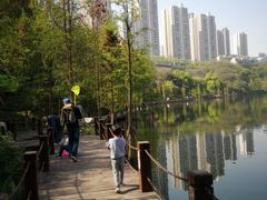-重庆彩云湖湿地公园