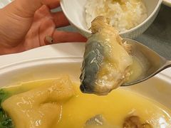 -沈灶河豚宴·河豚融合餐厅(汉中路店)