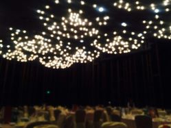 android_upload_pic-西安威斯汀大酒店·宴会厅