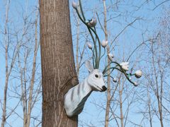 -合肥滨湖国家森林公园