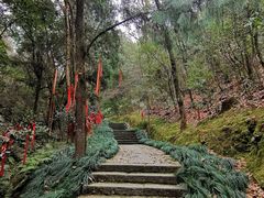 -梦姑塘文化公园