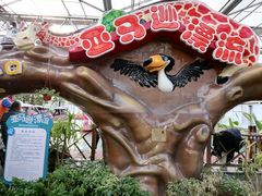 -南宫五洲植物乐园
